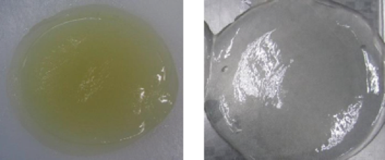 replacing gelatin with iota carrageenan