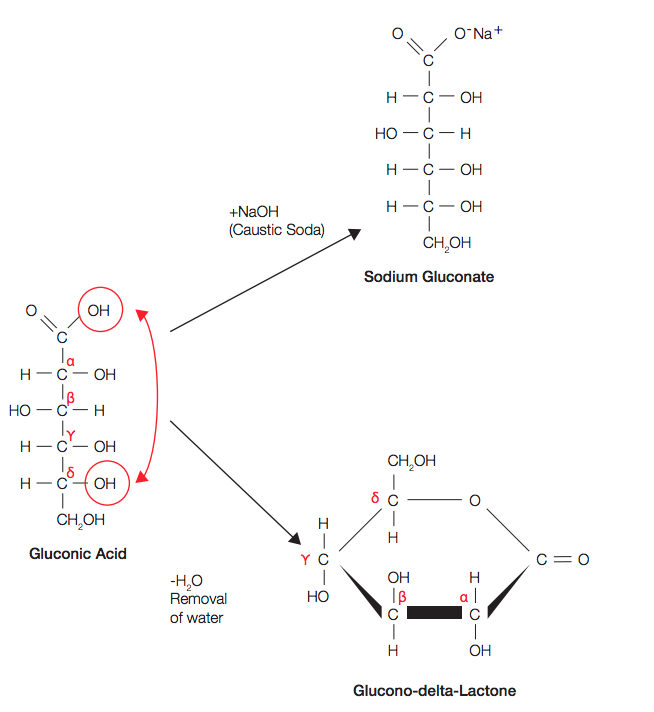 gluconic acid and GDL equilibrium and relationship with sodium gluconate